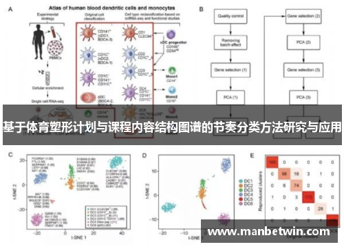 基于体育塑形计划与课程内容结构图谱的节奏分类方法研究与应用
